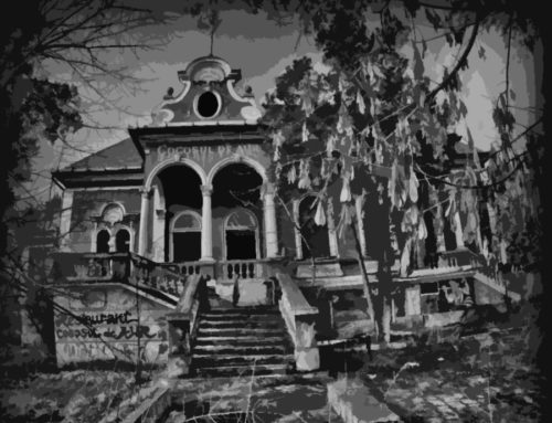 Hugo the Rooster – Part I