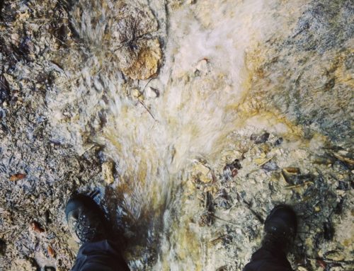 Autoînmormamântarea