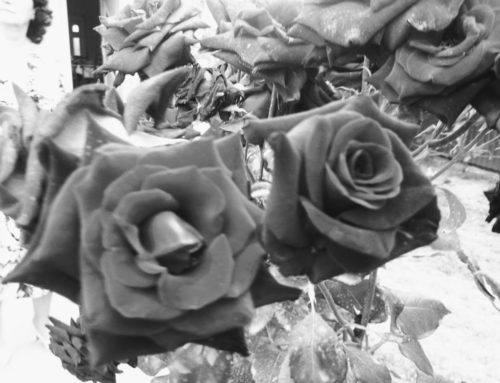 Pachetul de țigări