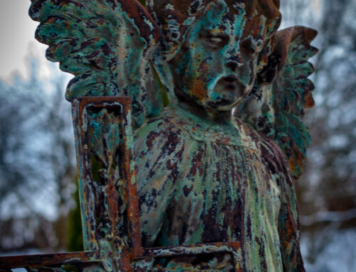 Timișoara. Partea I